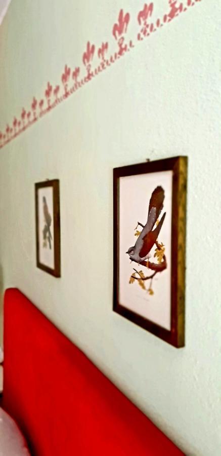 Katarina Villa Branik